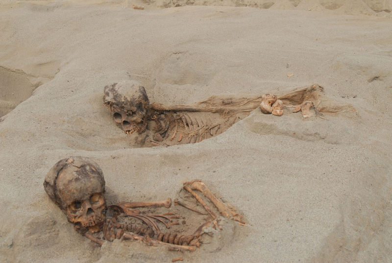 Skeletons of two children found at the Huanchaquito-Las Llamas site in Peru.